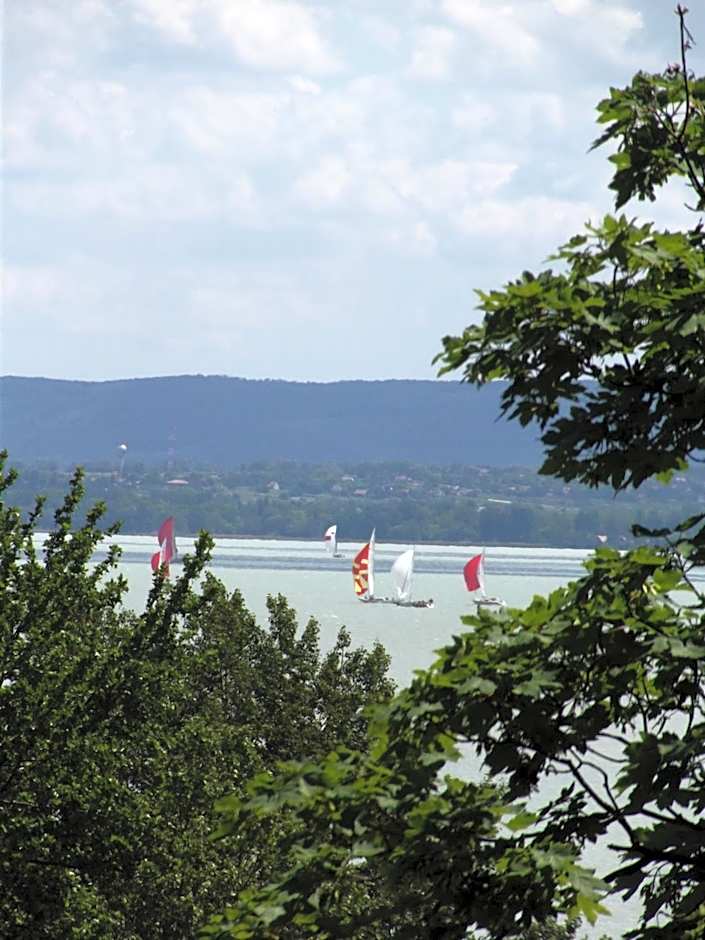 Sir David Balaton Castle Apartmanok