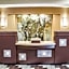 Comfort Suites Perrysburg