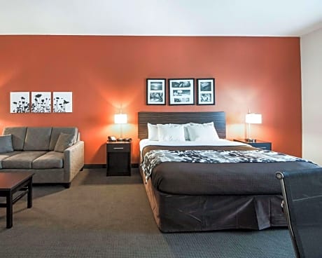 1 King Bed, Suite, Nonsmoking, Accessible