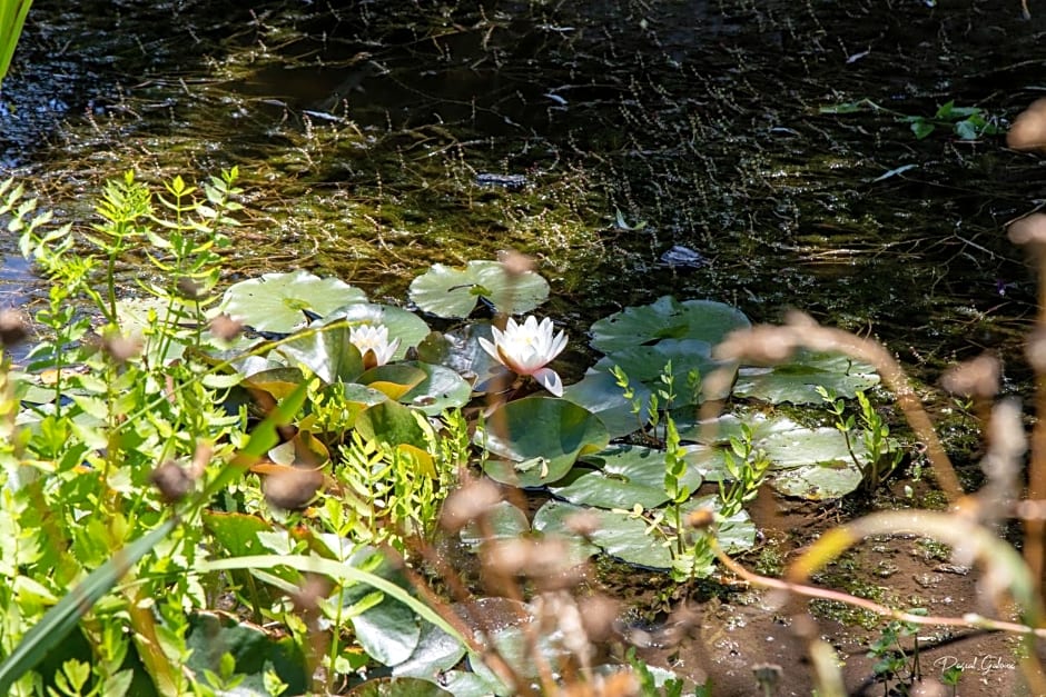 villa marguerite 65 rue legout lesage 76260 ponts et marais