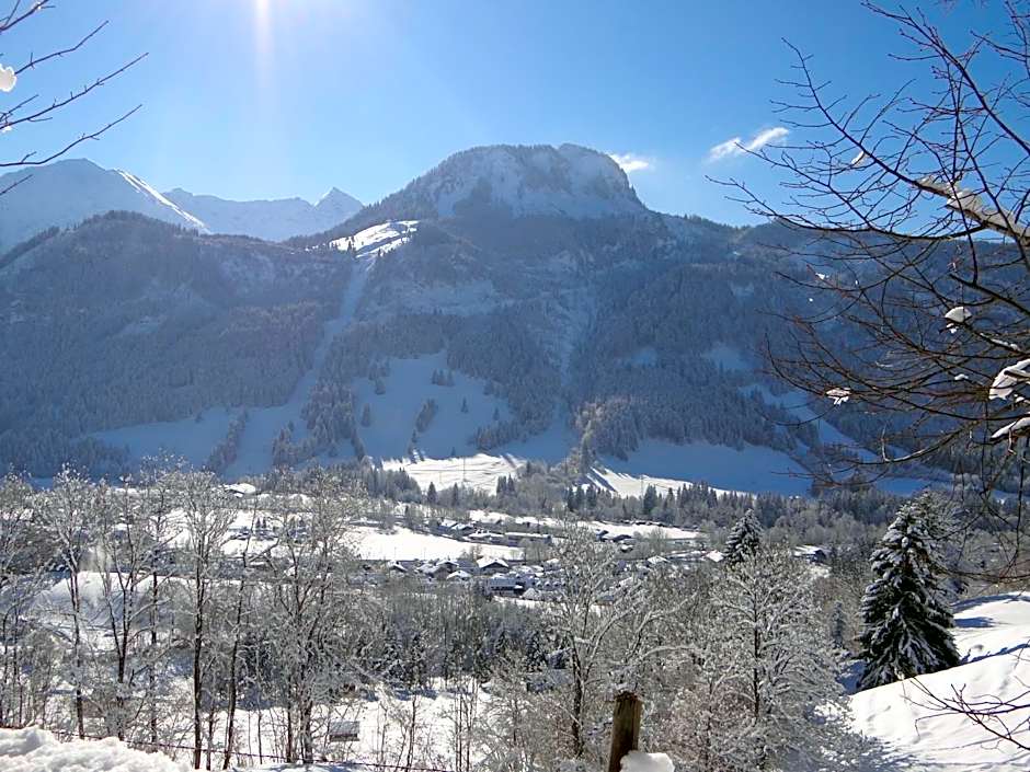 Der Malerwinkl - Alpenhotel