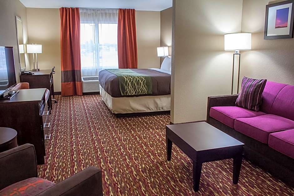 Photo 1 of 7 of 1 King Bed Suite