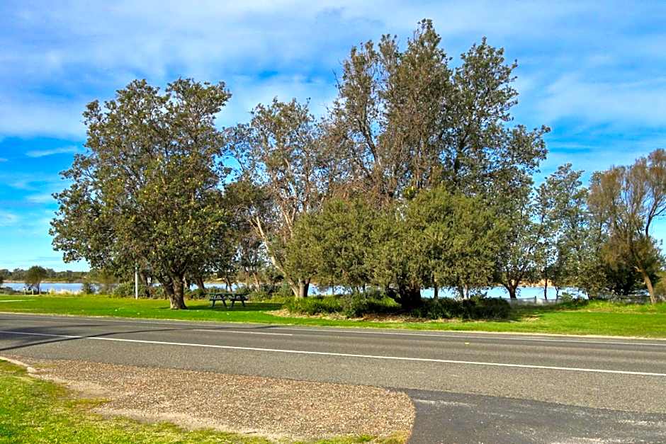 Cunningham Shore Motel