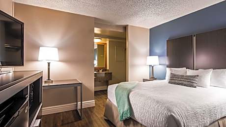 Non-Pet, 1 King Bed, Balcony, River View, Oversize Room