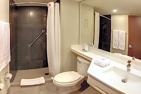 Room, 1 Queen Bed