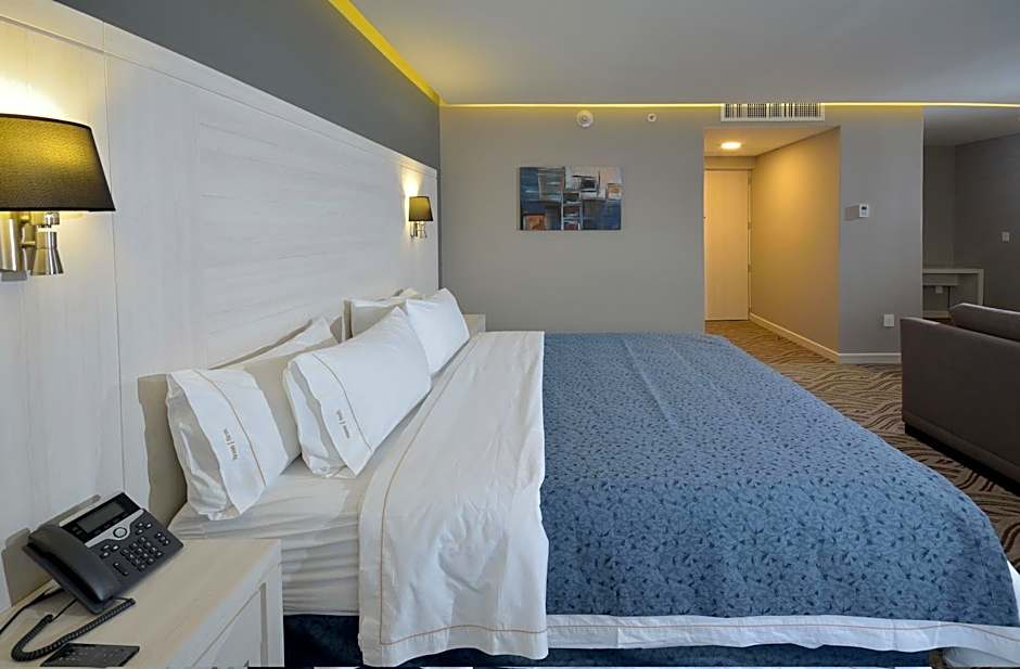 Holiday Inn Express Pachuca By IHG