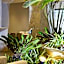 Ontur Izmir Otel
