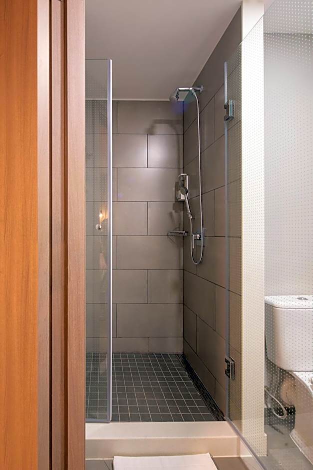 ibis Santa Cruz de la Sierra