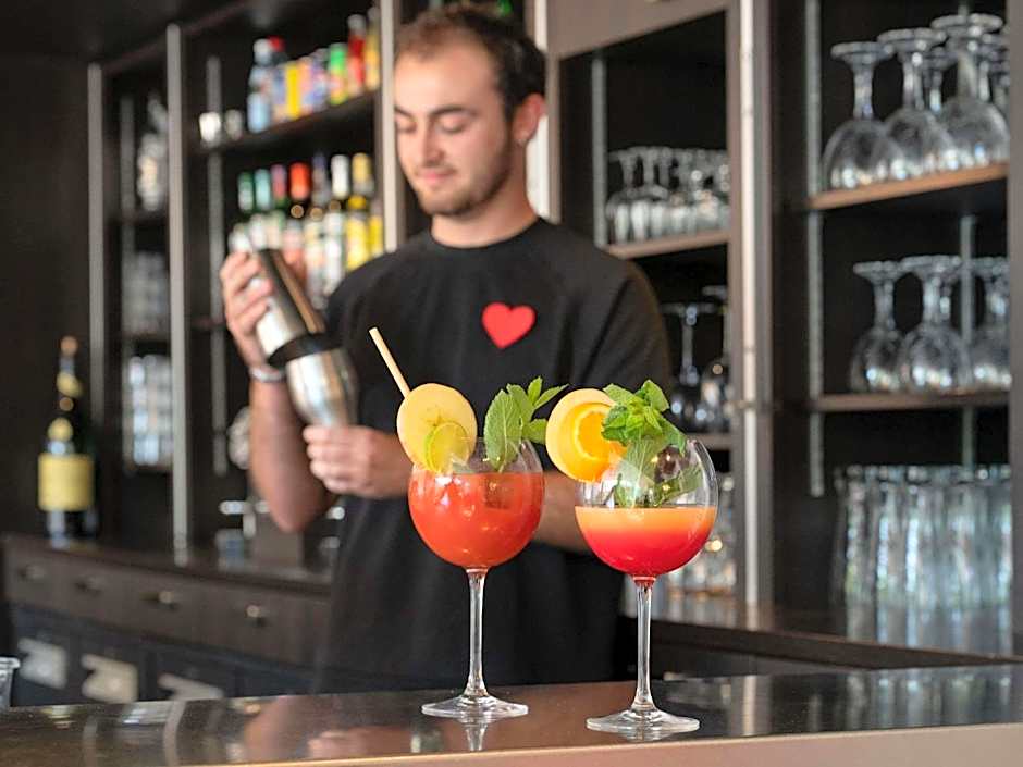ibis Lyon Caluire Cite Internationale