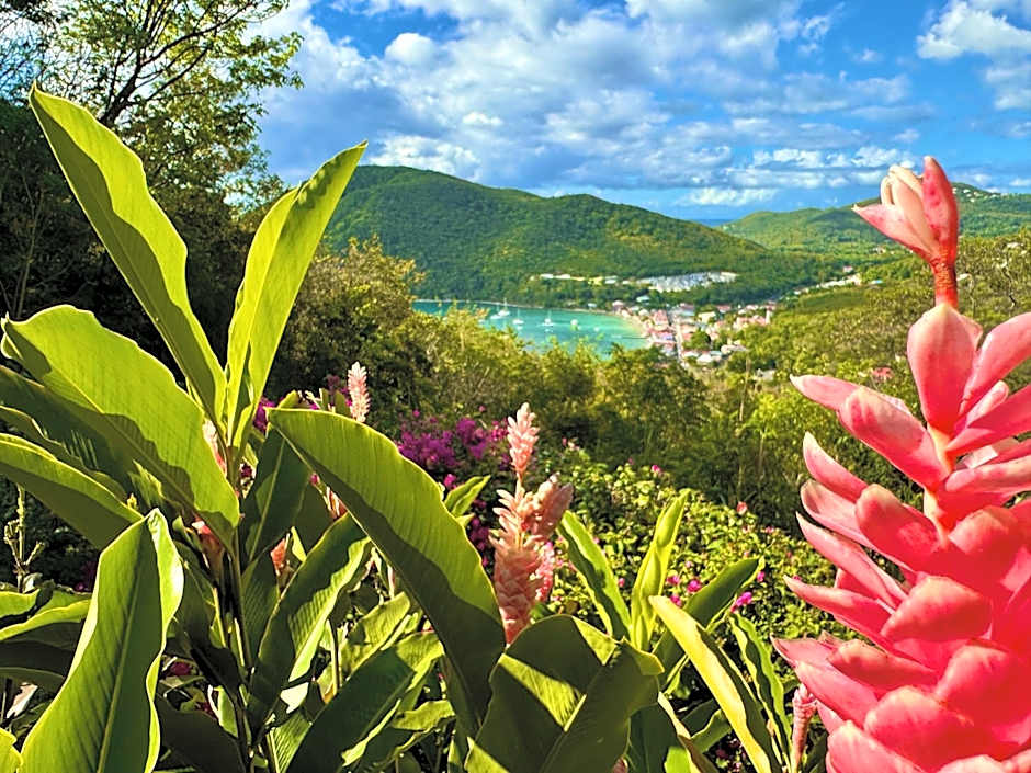 Au Jardin Des Colibris Ecolodge&Spa