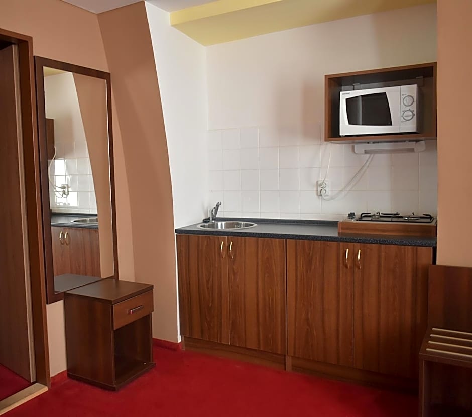 Hotel Černý Orel Žatec