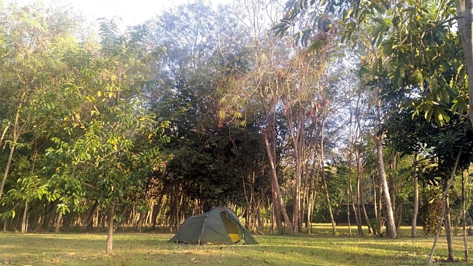 4 Pohon - Les 4 Arbres