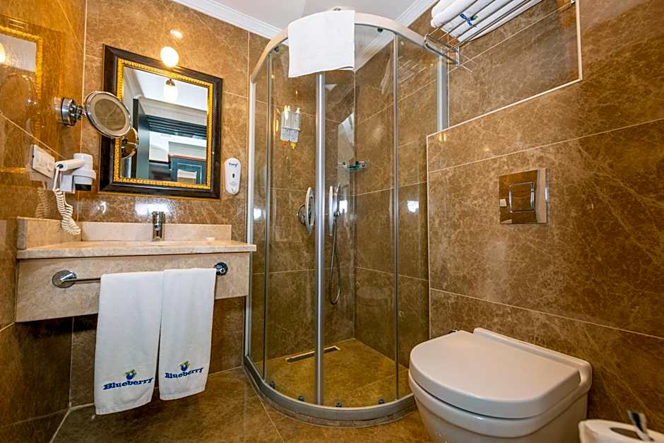 Blueberry Boutique Hotel