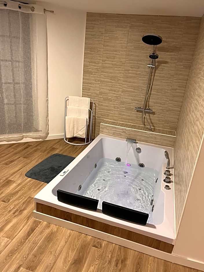 Magnifique Loft 35m2 Jacuzzi RVB NIGHT 1