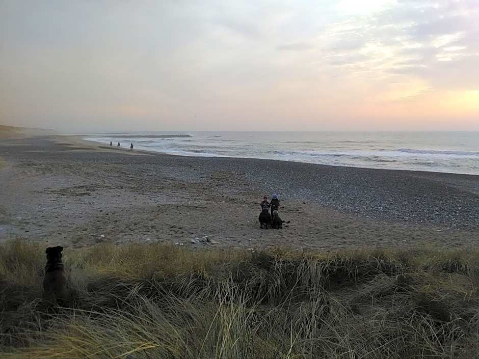 Rikke og Franks Svineri