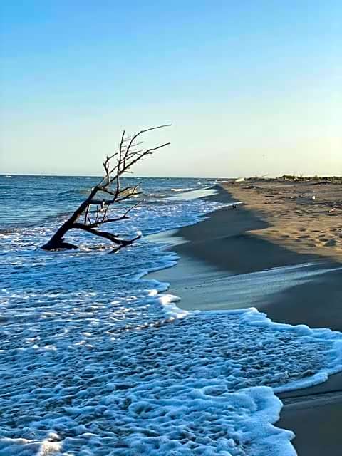 Hôtel Restaurant La Plage