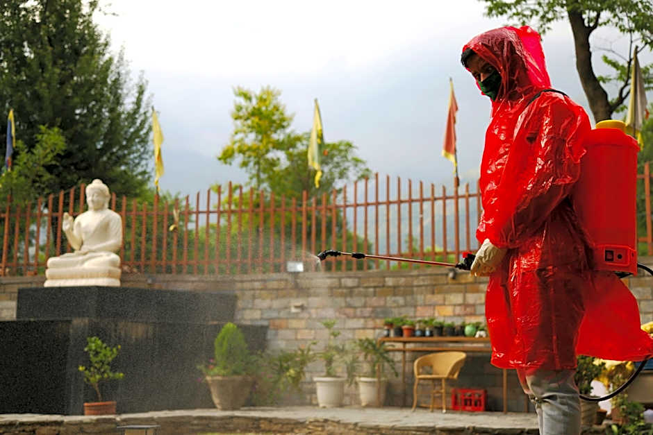 Quartz Himalayan Brothers