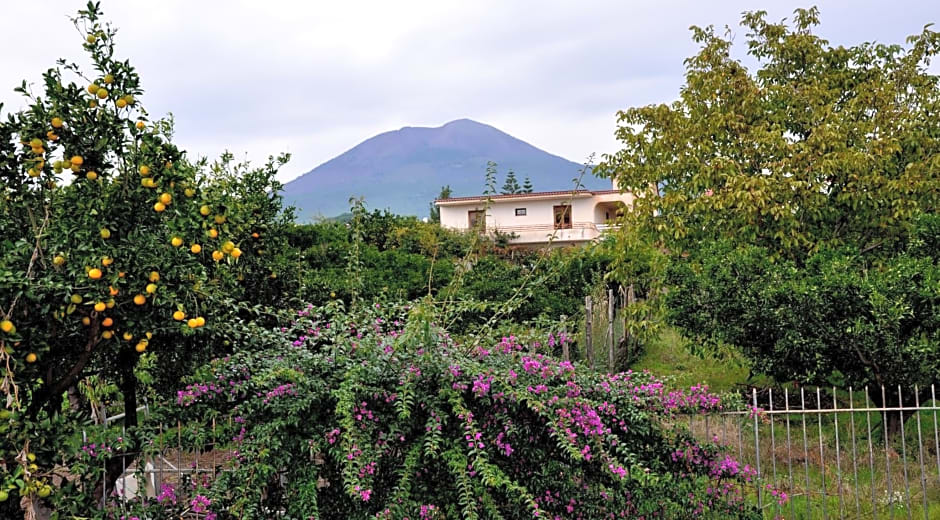 B&B Casa di Donna