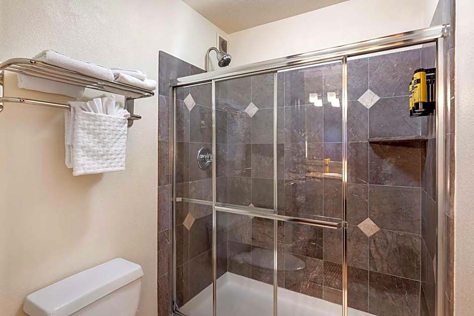 Best Western Plus Orchid Hotel & Suites