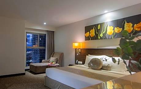 Deluxe Queen City View