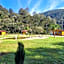 La Bella Vista