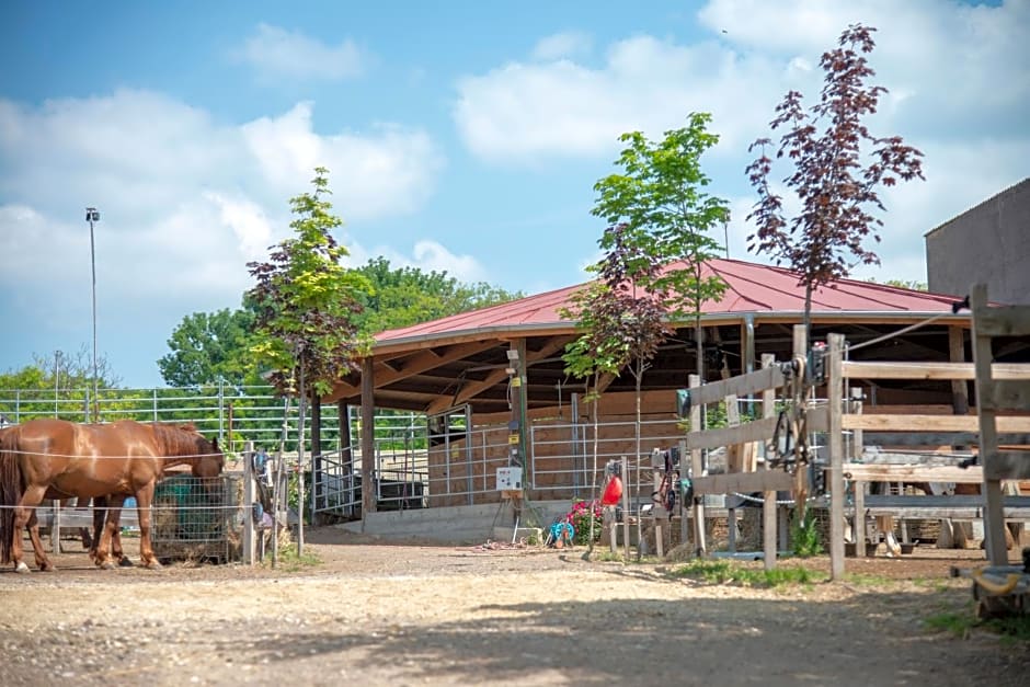 Ranchzimmer am Hippo-Campus Reit- und Therapiezentrum