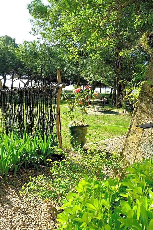 Au bord de Thau