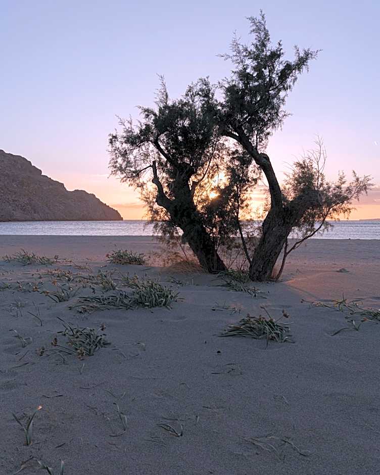 Paligremnos Infinity - Adults only