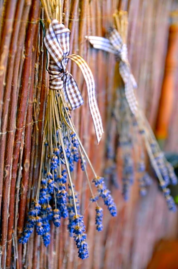 Pokoje go¿cinne Ewela