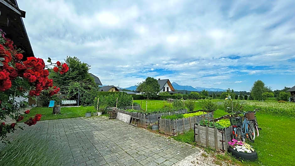 Nomads Village
