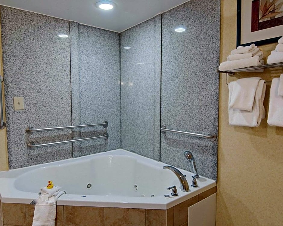 Comfort Suites Salem-Roanoke I-81