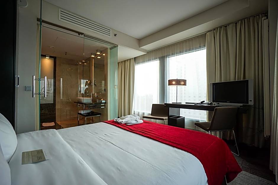 Andersia Hotel & Spa Poznan, a member of Radisson Individuals
