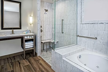 1 King Bed 1 Bedroom Suite