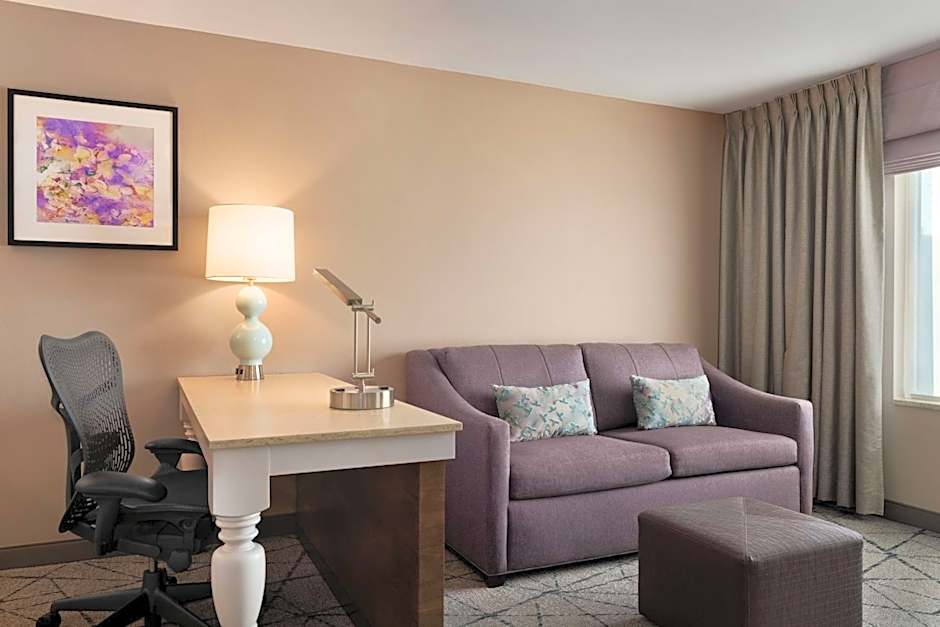 Hilton Garden Inn Springfield