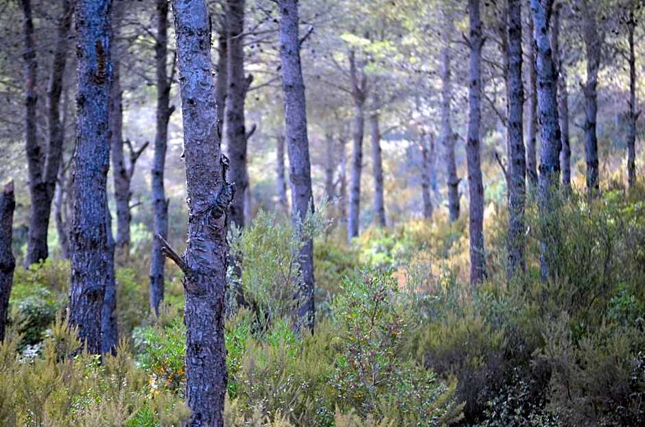 Ferma Jebala Ecolodge