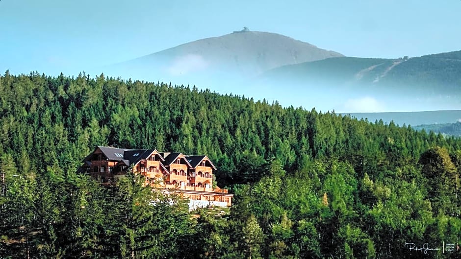 Hotel Seidorf