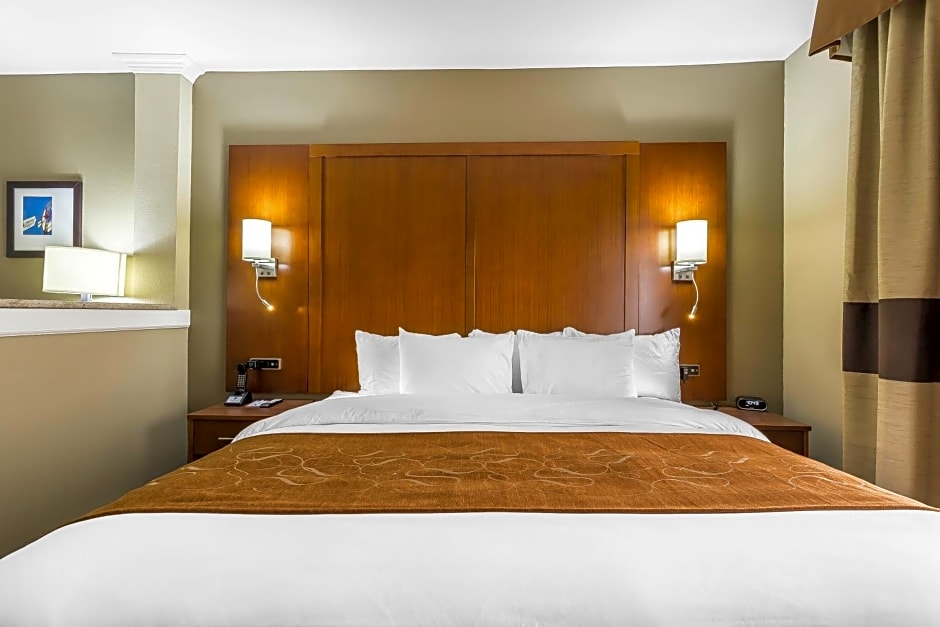 Comfort Suites University