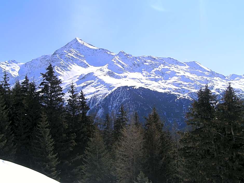 Hotel Meublè Adler - Rooms & Mountain Apartments