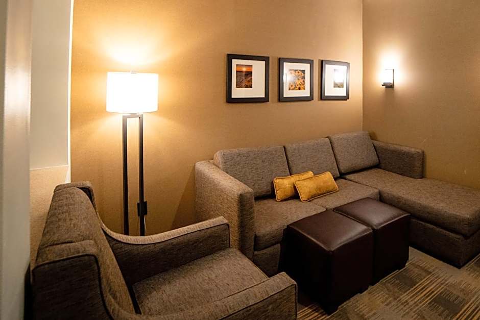 Comfort Suites University