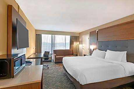 Accessible - 1 King, Mobility Accessible, Bathtub, Refrigerator, Wi-Fi, Non-Smoking, Full Breakfast