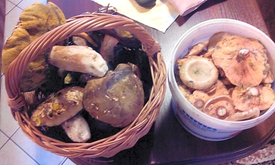 Ośrodek Wczasowy "GRONOSTAJ"