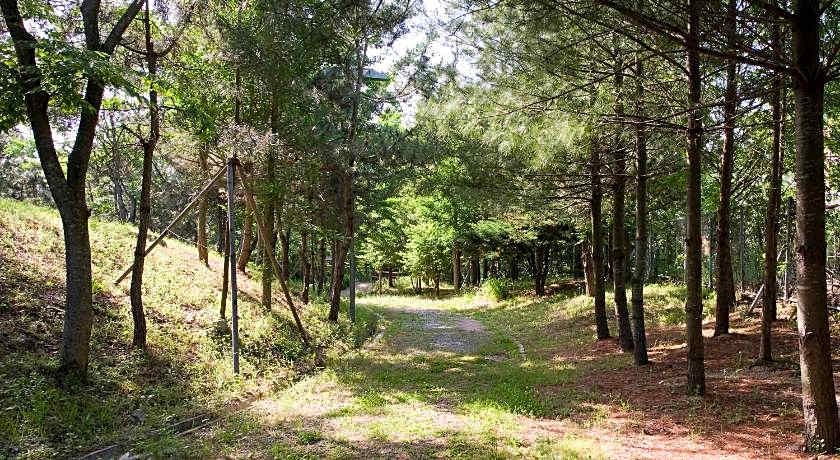 The K Hotel Gyeongju