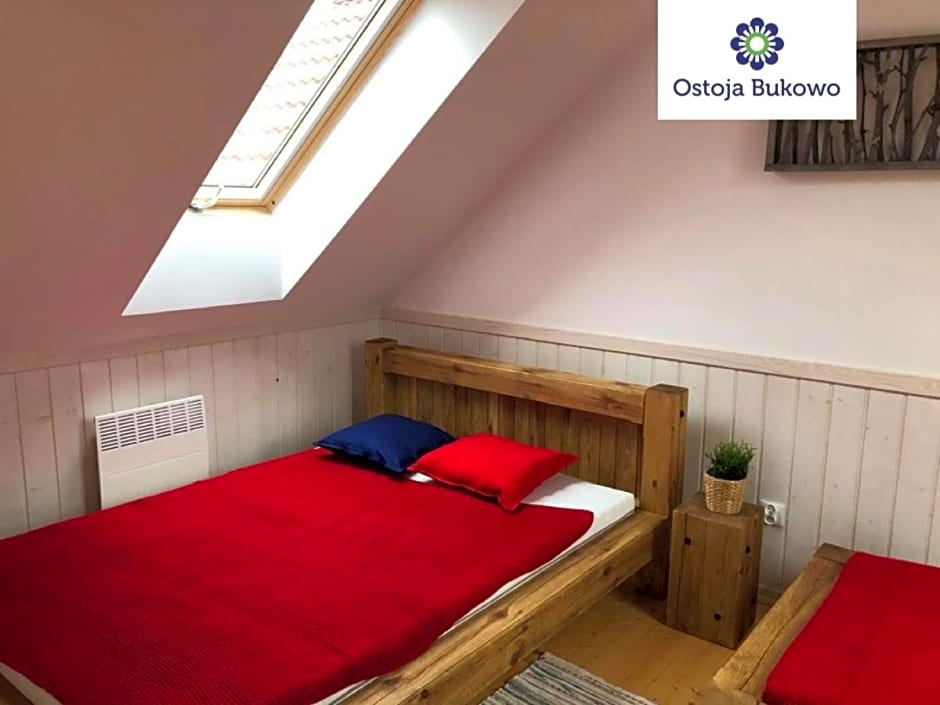 Domek z basenem nad jeziorem Gwiazdy, Ostoja Bukowo, Kaszuby