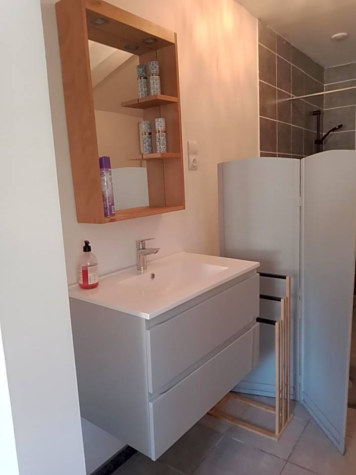 Chambre-Studio en rez-de-jardin