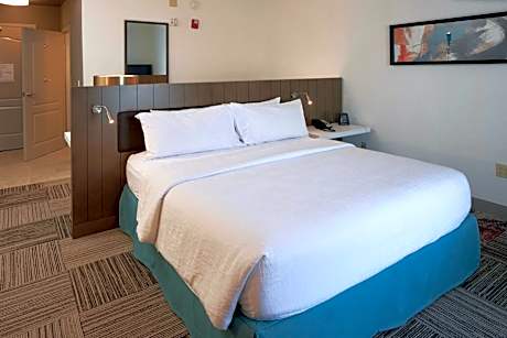 King Room with Roll-In Shower - Mobility Access