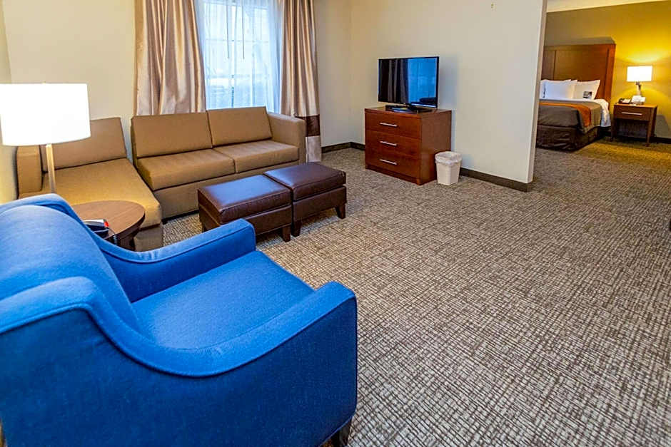 Comfort Inn Salt Lake City Downtown