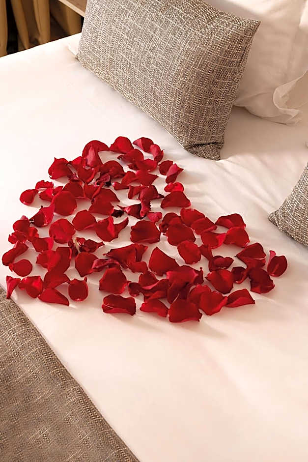 Hotel Spa Restaurant Villa Castellane