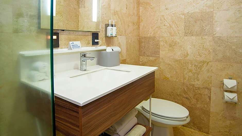 Holiday Inn Express Mexico Santa Fe By IHG