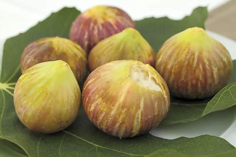 Mare Monte Luxury Suites