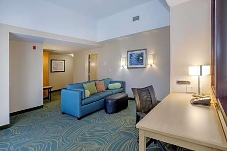 Studio, 1 King Bed with Sofa bed (1 King Bed and 1 Double Sofa Bed)